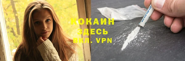 шишки Нея