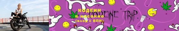 шишки Нея