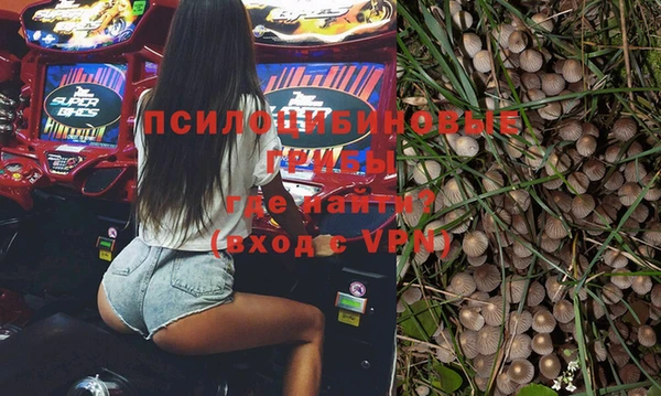 таблы Щигры