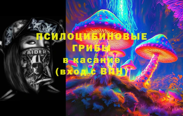 шишки Нея